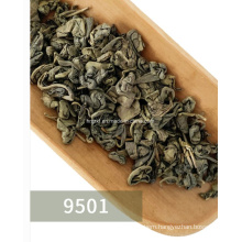 Chinese Organic Green Tea Gunpowder Tea 9501 9502 Loose Tea